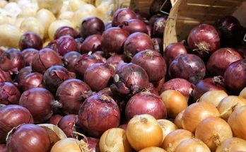 Onion recipes