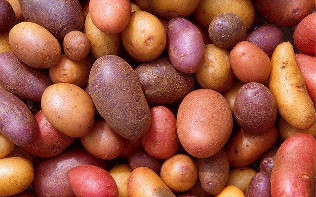 Potato recipes